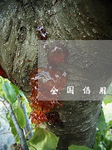 全国信用卡逾期发展史 全国信用卡逾期发展史