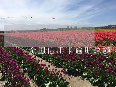 全国信用卡逾期总额 全国信用卡逾期总额