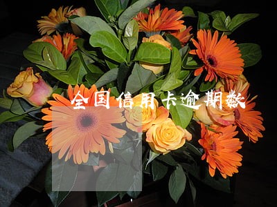 全国信用卡逾期数 全国信用卡逾期数