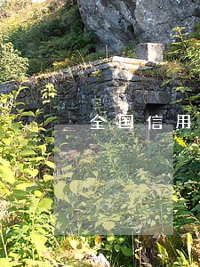 全国信用卡逾期数量