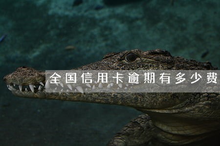 全国信用卡逾期有多少费用 全国信用卡逾期有多少费用
