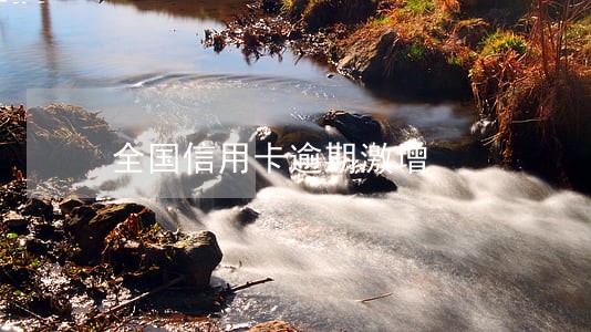 全国信用卡逾期激增 全国信用卡逾期激增