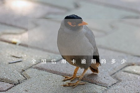 全国信用卡逾期的多少 全国信用卡逾期的多少
