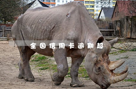 全国信用卡逾期超