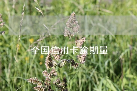 全国信用卡逾期量 全国信用卡逾期量