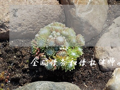 全国债务和债权律师如何找 全国债务和债权律师如何找