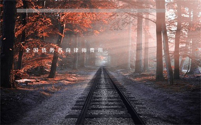 全国债务咨询律师费用 全国债务咨询律师费用