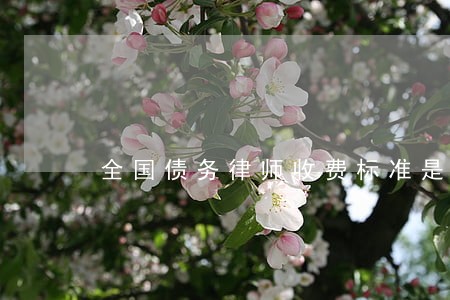 全国债务律师收费标准是多少 全国债务律师收费标准是多少