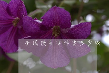 全国债务律师要多少钱 全国债务律师要多少钱