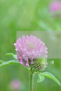 全国债务纠纷律师费用 全国债务纠纷律师费用