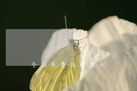 全国免费法律顾问 全国免费法律顾问