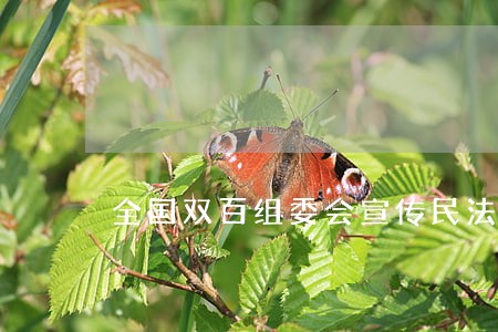 全国双百组委会宣传民法典 全国双百组委会宣传民法典