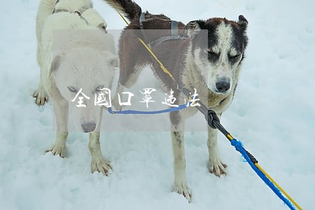 全国口罩违法 全国口罩违法