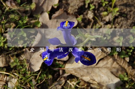 全国司法改革会议贵阳