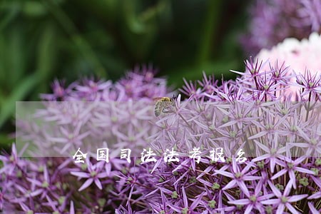 全国司法法考报名 全国司法法考报名