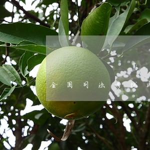 全国司法考试成绩数据分析 全国司法考试成绩数据分析