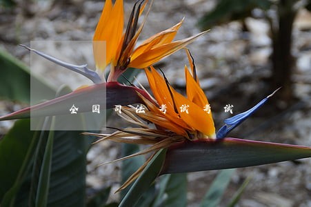 全国司法考试考试 全国司法考试考试