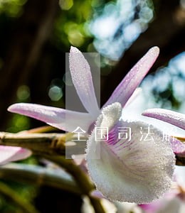 全国司法解 全国司法解