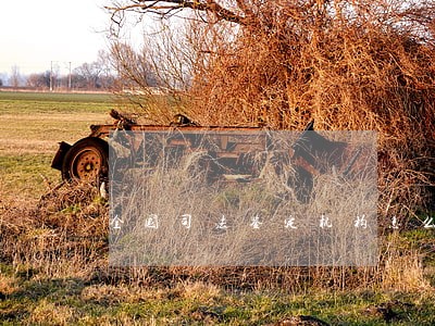 全国司法鉴定机构怎么查 全国司法鉴定机构怎么查