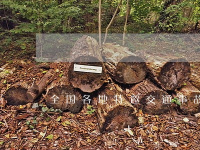 全国各地特邀交通事故律师推荐