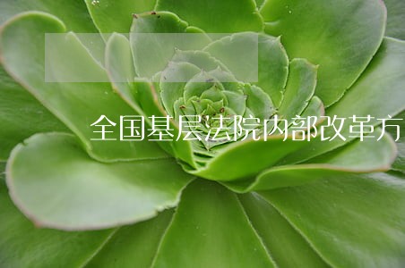 全国基层法院内部改革方案