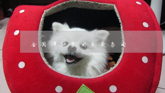 全国律师咨询免费咨询 全国律师咨询免费咨询