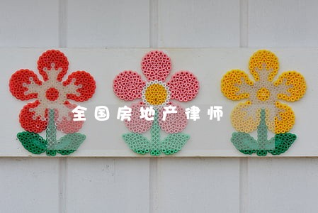 全国房地产律师
