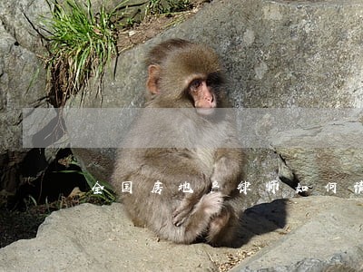 全国房地产律师如何请 全国房地产律师如何请