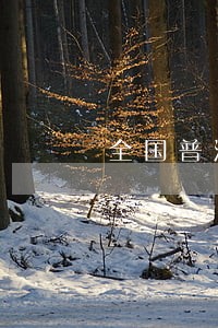 全国普法办公室关于加强党内法规 全国普法办公室关于加强党内法规