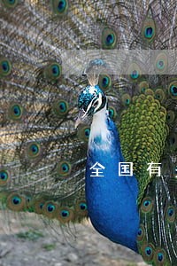 全国有多小信用卡逾期 全国有多小信用卡逾期
