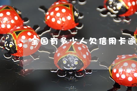 全国有多少人欠信用卡逾期没还的 全国有多少人欠信用卡逾期没还的