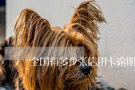 全国有多少张信用卡逾期坐牢 全国有多少张信用卡逾期坐牢
