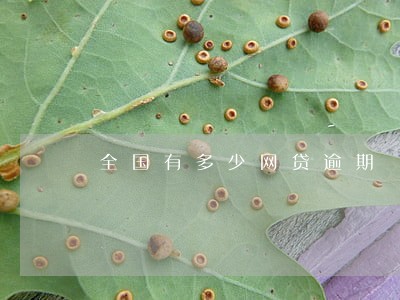 全国有多少网贷逾期 全国有多少网贷逾期