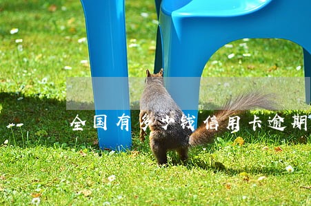 全国有多少钱信用卡逾期 全国有多少钱信用卡逾期