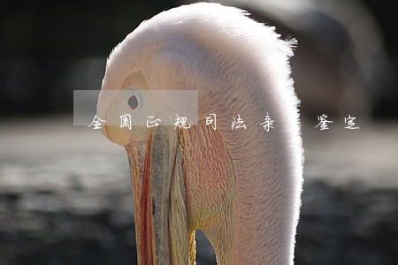 全国正规司法亲子鉴定 全国正规司法亲子鉴定