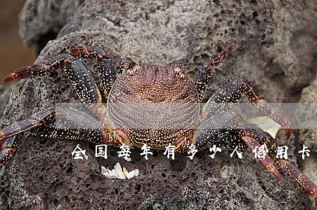 全国每年有多少人信用卡逾期 全国每年有多少人信用卡逾期