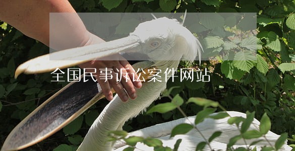 全国民事诉讼案件网站 全国民事诉讼案件网站