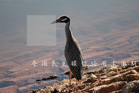 全国民生银行信用卡逾期上征信吗 全国民生银行信用卡逾期上征信吗