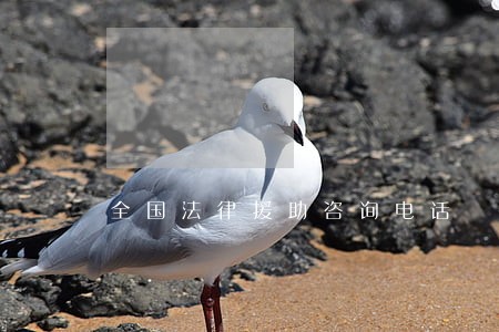 全国法律援助咨询电话 全国法律援助咨询电话