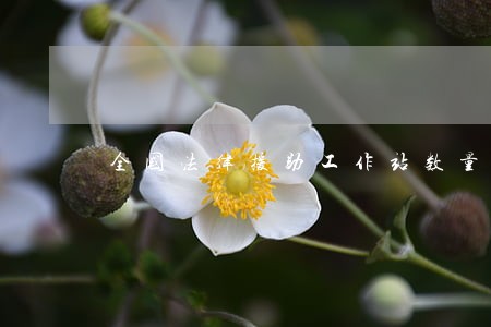全国法律援助工作站数量 全国法律援助工作站数量