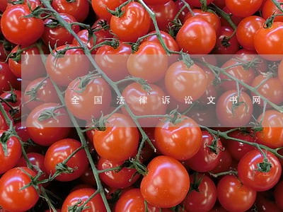 全国法律诉讼文书网 全国法律诉讼文书网