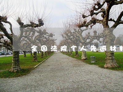 全国法院个人先进材料 全国法院个人先进材料