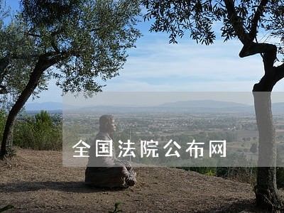 全国法院公布网 全国法院公布网