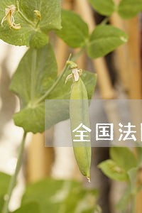 全国法院审理黑社会工作纪要 全国法院审理黑社会工作纪要