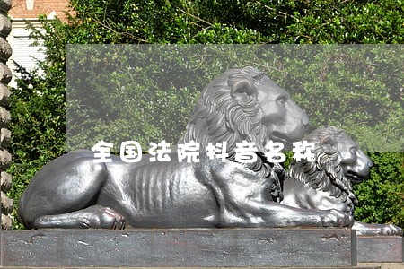 全国法院抖音名称