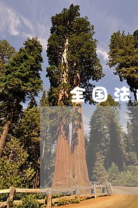 全国法院破产重整案件信息网 全国法院破产重整案件信息网