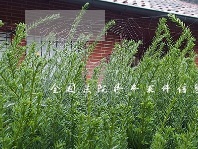 全国法院终本案件信息几年消除 全国法院终本案件信息几年消除