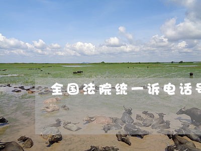 全国法院统一诉电话号码是多少 全国法院统一诉电话号码是多少