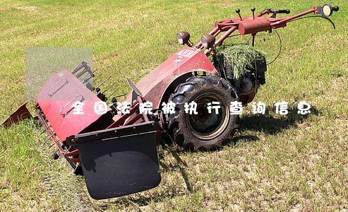 全国法院被执行查询信息