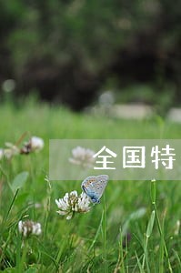 全国特大盗窃法院宣判案 全国特大盗窃法院宣判案